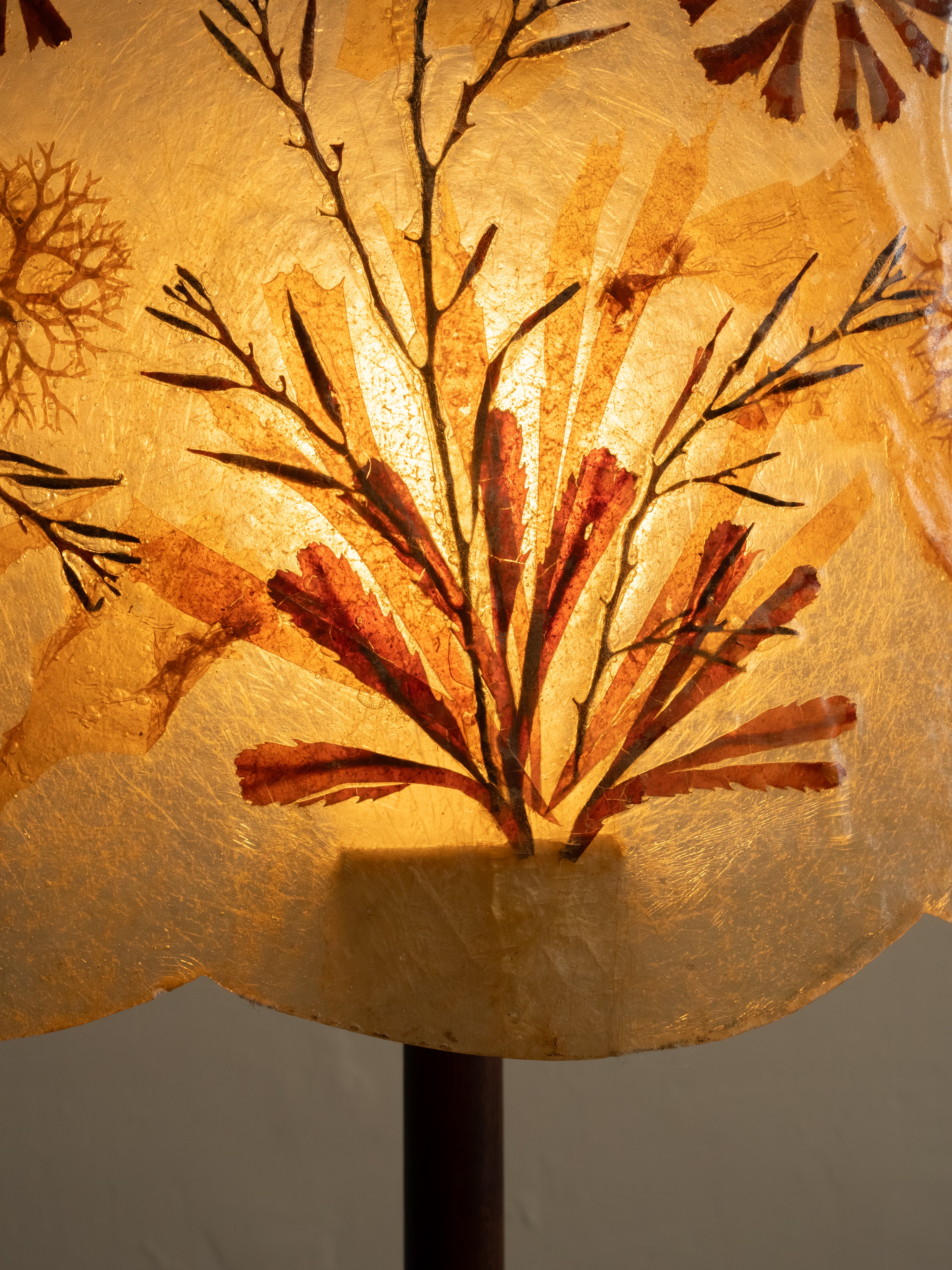 Stephen McKay Lamp VIII